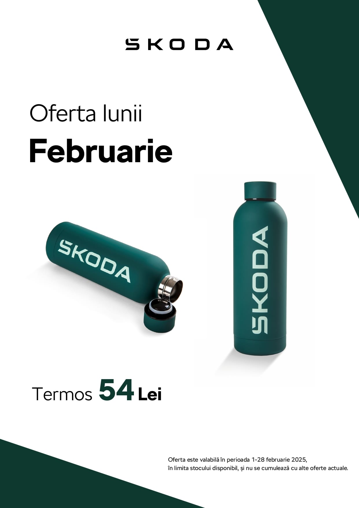 oferta-lunii-februarie-skoda_page-0001
